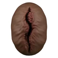 Păpușa masturbatoare Alien's Pie cu vagin artificial de culoare maro pentru bărbați - 74644456 - 3