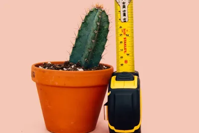 Când ramura nu arde – probleme de erecție